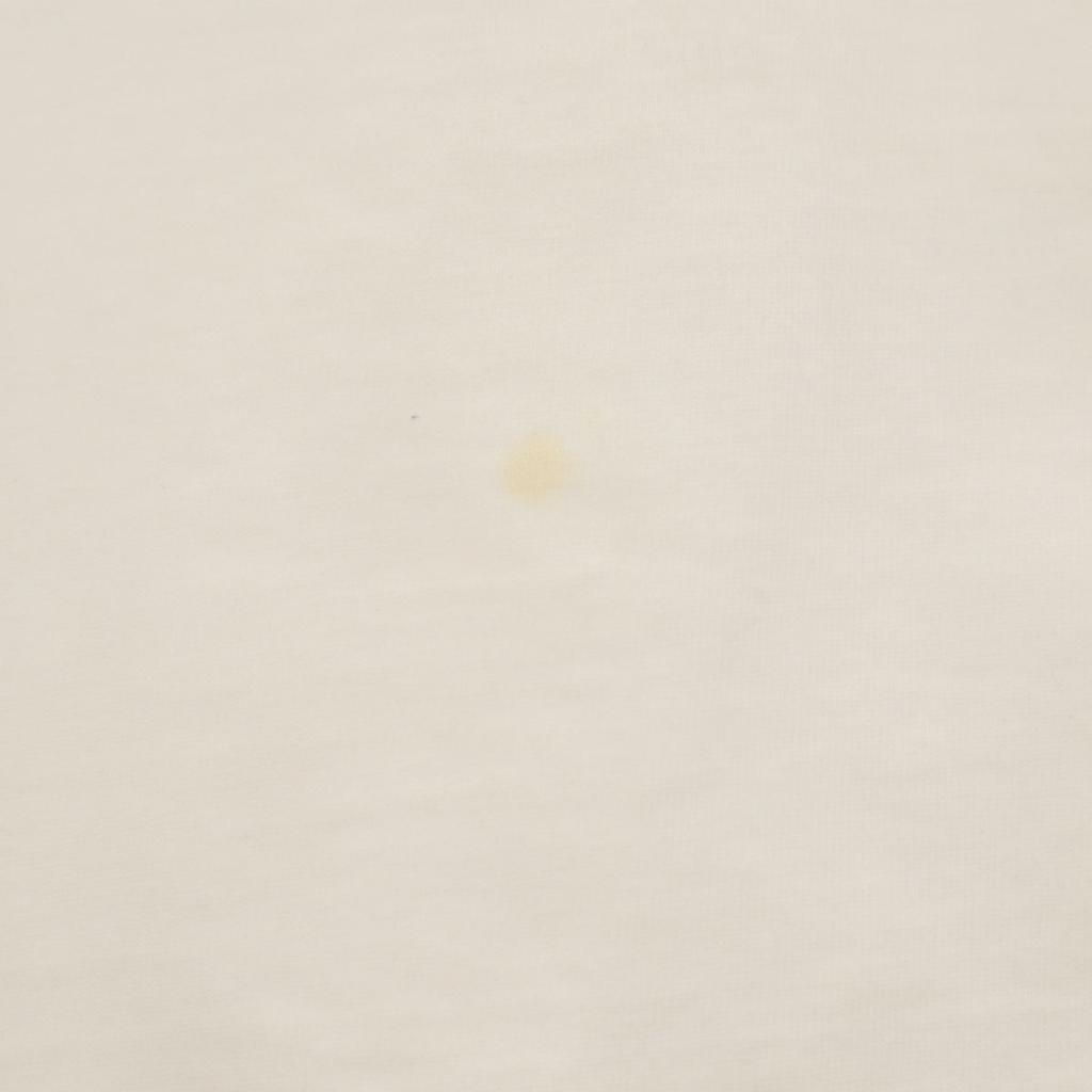 Puma T-shirt z krótkim rękawem L biały Kobiety Używany