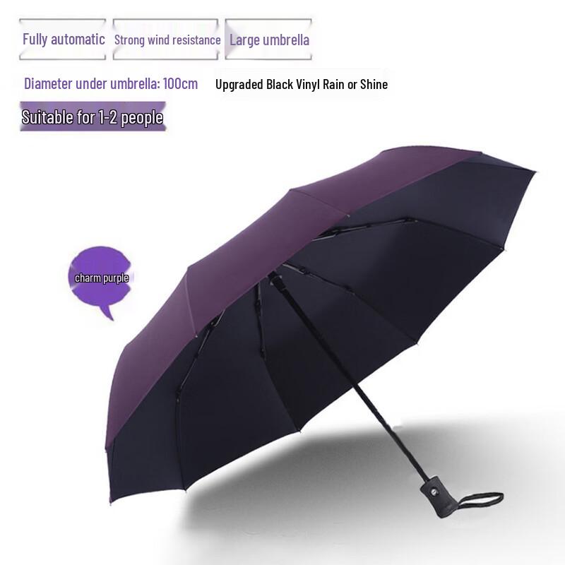 Hanyou Automatic Rain & Sun Umbrella
