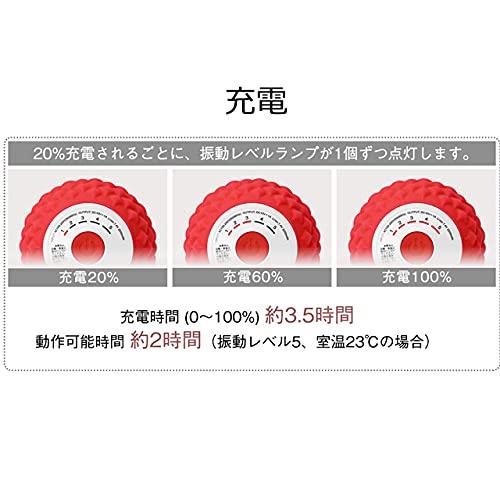 Tokyu Sports Oasis Shape Twin Ball Vibration Fitness Machine STB-100 (5 Vibration Levels)