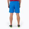 Puma Teamrise Solid Waistband Straight Leg Casual Shorts Men Shorts Blue 704942-02