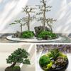 Green Artificial Moss DIY Crafts Grass Fake Moss Green Plant for Home Room Garden Decor Landscape Fake Grass Flower Pot Ornament
