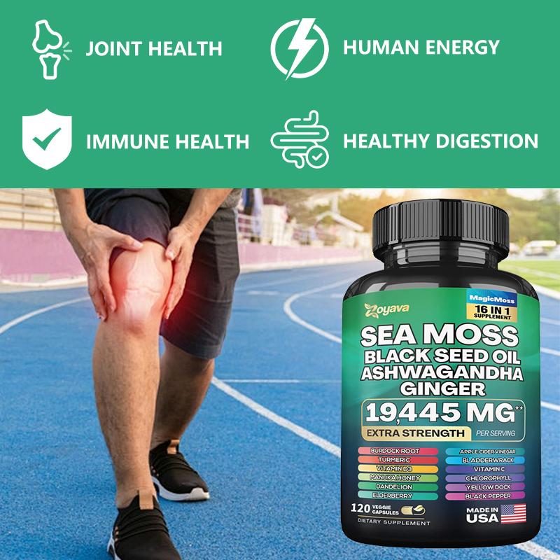 Seaweed Black Seed Oil, Turmeric Yellow Seaweed Supplement 120 Capsules