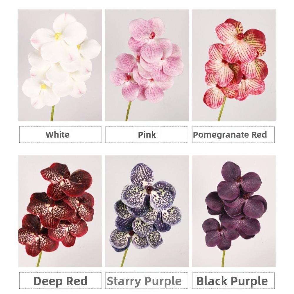 Echte Berührung Simulation Große Mottenorchidee Schmetterlingsorchidee Künstlicher Blumenast Lehrertag