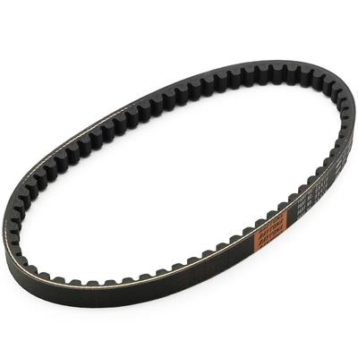 Daytona Verstärkt für Motorräder Live Live Super DIO Chester 95419 V-Riemen DIO/J/S (00-02) DIO/SR (94-02) DIO/SR (91-99) DIO/SR( 90)(AF18/25SK50ML)