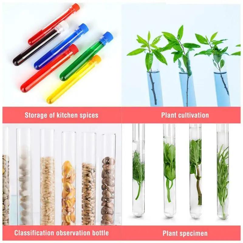 1 Collection Plastic Test Tube Rack 6 Holes Stand Lab Test Tube Stand Shelf Supply Auxiliary Teaching Equipment In School Laboratory