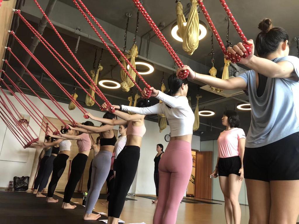 Professionellt Iyengar Väggrep Set: Anti-Gravity Yoga Hjälpmedel med Ren Bomullssnodd för Luftakrobatik