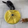 Four-speed Electric Cat Toy Plate Tease Cat Stick Pet Rotating Toys 4 Kinds of Speed Intelligent Cat Toys