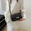 Wholesale Chic High-end Single Shoulder Crossbody Bag For Women 2024 Summer New Stylish Street Style