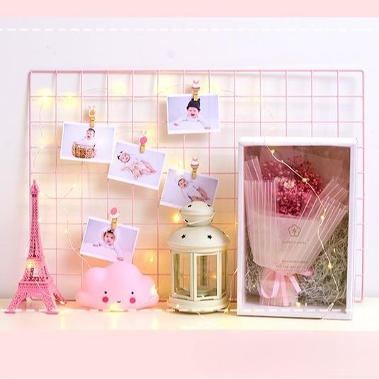 Colorful Insect Kindergarten Teaching Flower Shop Card Gift Log Ladybug Hanging Photo Butterfly Small Clip
