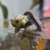Handmade Small Turtle Pot Hanging Decorative Simulated Turtle Ornaments  Photo Props
