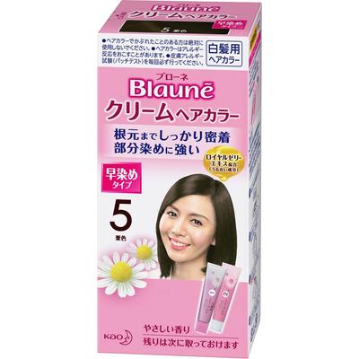Brown Kao Brown Cream Hair Color 5 Maroon 40g X 2