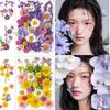Rhinestone Face Stickers, Glitter Face Stickers, Children's Stage Makeup, Dried Flower Face Stickers, Butterfly Face Stickers for Photo Shoots