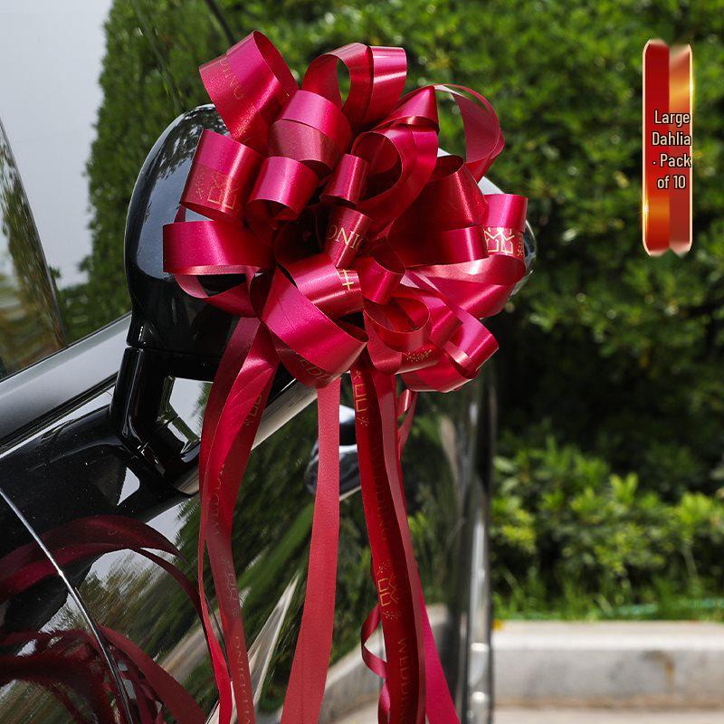 Wedding Car and Room Decor Set with Ribbons and Butterflies