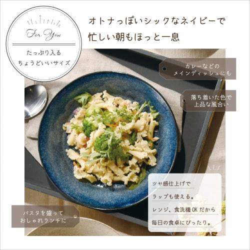 Aito "Natural Color" Curry/Pasta Plate, Approx. 21cm, Navy, Mino Ware, Dishwasher and Microwave Safe, Made in Japan, 517016