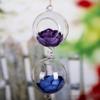Transparent Hanging-type Glass Ball-shape Vase for Water Planting Home Wedding Decoration Gift