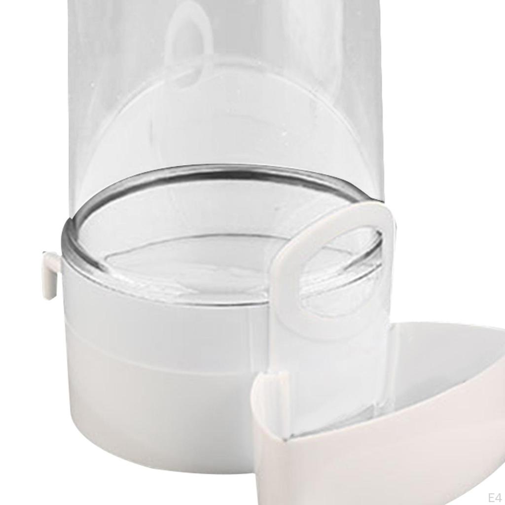 Bird Feeder Food Dispenser Viewing Clear Bowl Small Animal for Canary Finch