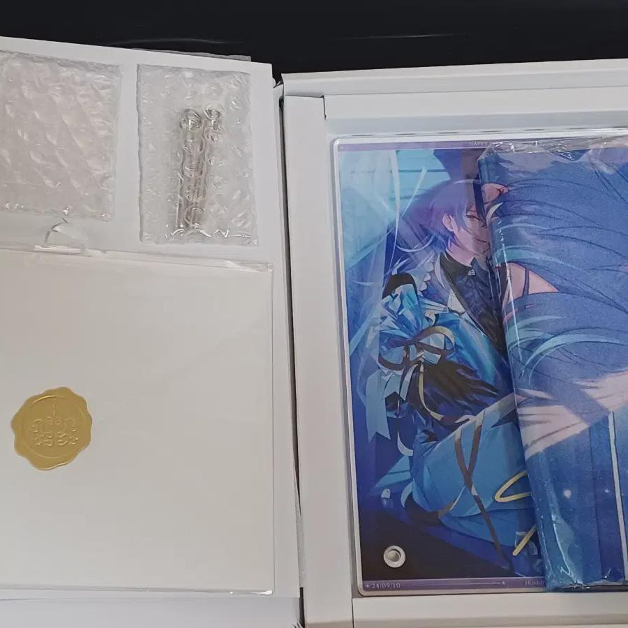 

Niji Sanji Ditika Hoshirube Show 2024 Birthday Power Goods Set