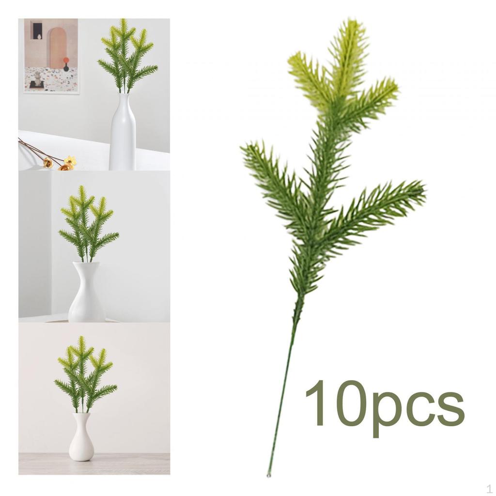 Branches for DIY Wreath Making and Christmas Tree Decor