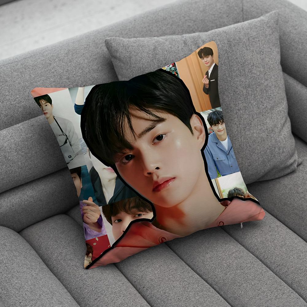 Korea Actor Kang Song Pillow Case Soft Cushion Cases for Farmhouse Sofa Decor Home Decorations and Protector