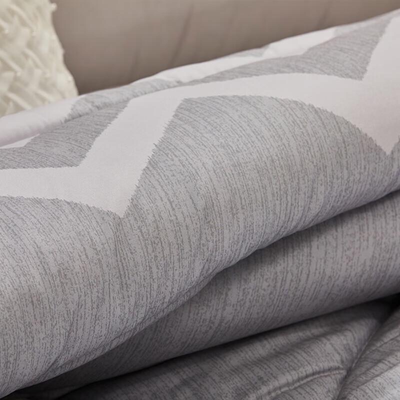 Mercury Home Textiles DH Elegant Antibacterial Winter Quilt