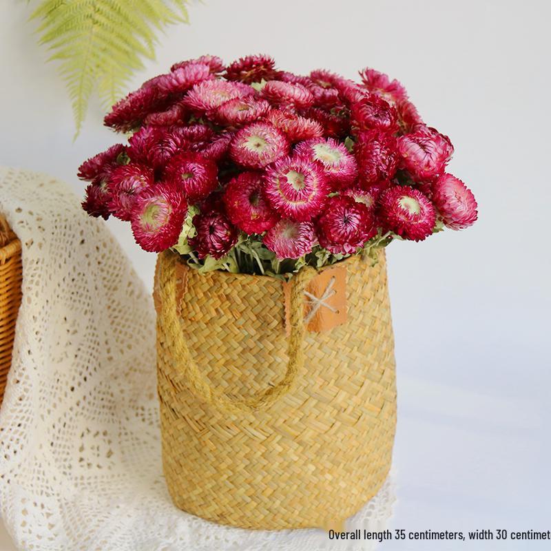 Daisy Dried Flower Bouquet for Living Room and Bedroom Décor - Natural Yunnan Flowers for Display or Photo Props