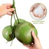Leaves Artificial Coconut Banquet Organic Amino Plastic Coconuts Creative Fruit Ornament