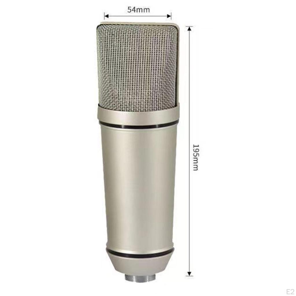 Condenser Microphone for Professional Music