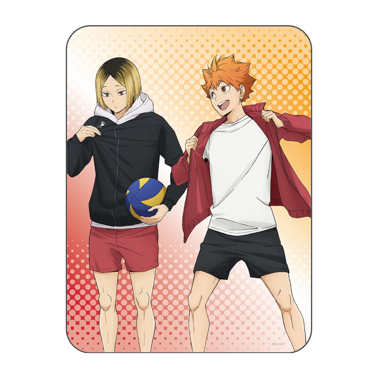 

Гурманство Коллекционный коврик для мыши Хината Кодзуме Haikyu!! BHIK-16A