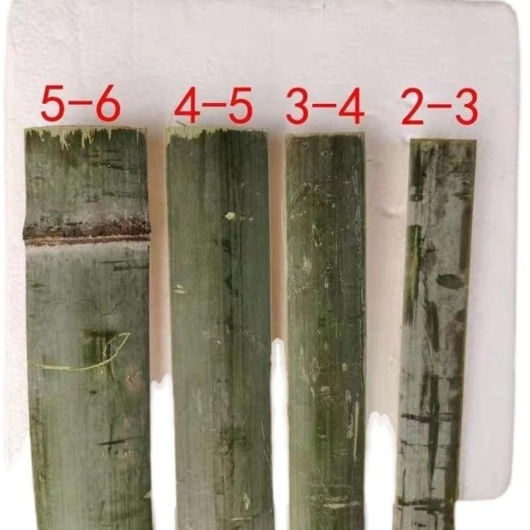 Moso Bamboo Slats for Greenhouse, Shed, and Garden Fencing