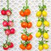 Artificial Vegetable and Fruit String for Different Settings Hanging Garlands