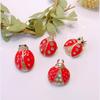 Versatile Ladybug Beetle Brooch: Creative Cartoon Insect Pin for Shirts