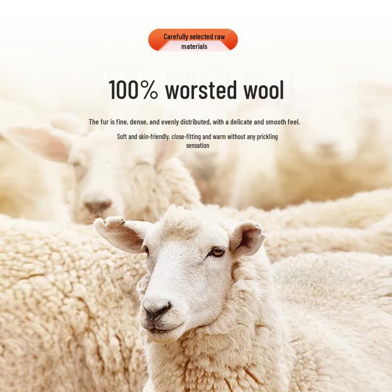 Men's Machine Washable 100% Fine Wool Stand Collar Knitted Jacket