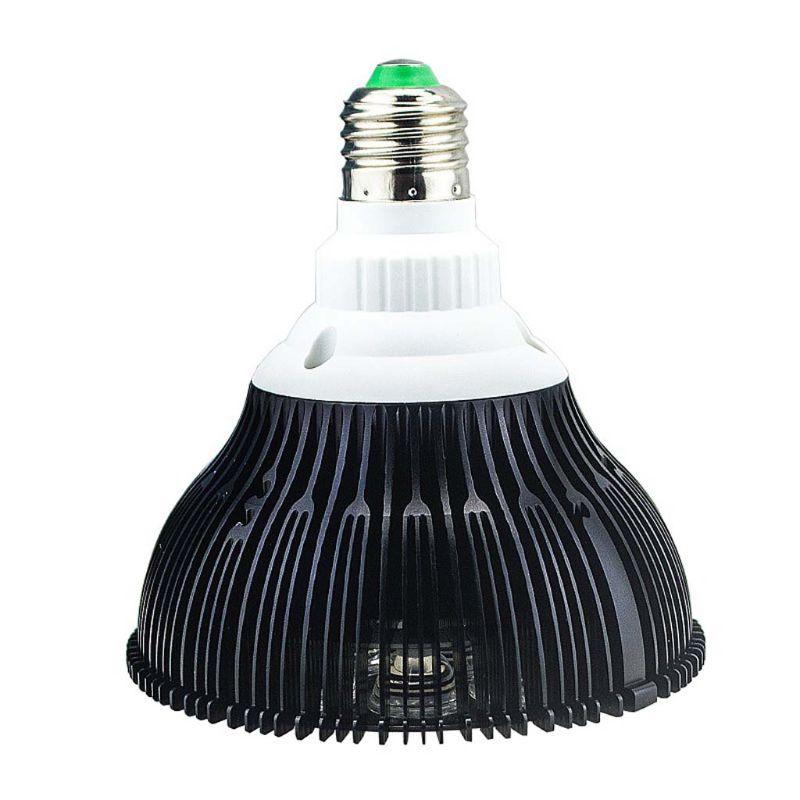 fish bowl light fitting