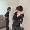 Sheer V-Neck Long-Sleeve Top: Mesh Design, Slim Fit, Chic Spring/Autumn Women's Outerwear.