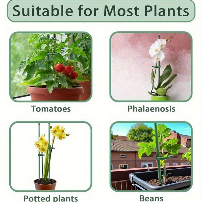 Garden Plant Support Stakes for Roses Orchid Climbing Vines Anti Tipping Pole Single Stem Flower Stakes Plant Cage Support Frame