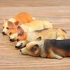 Warm Series, Sleepy Series, Corgi Model, Super Cute Shiba Inu Figurine, Fridge Magnet Doll