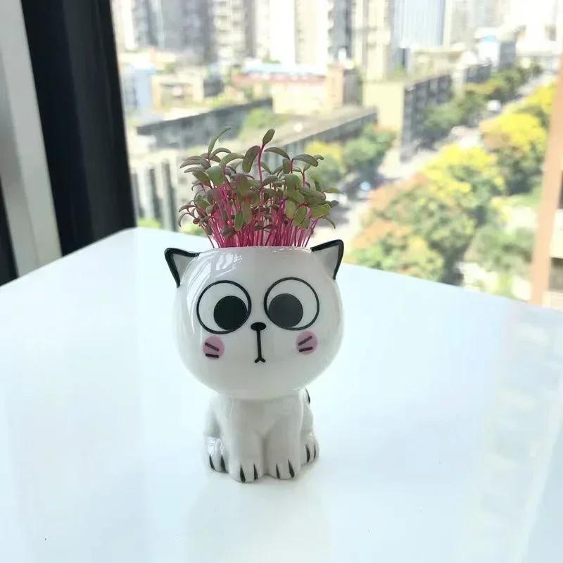 Keramik Blumentopf Mini Katze Cartoon Niedliche Topfpflanze Schreibtisch Katze Pflanztopf DIY Schreibtisch Dekorieren Wissenschaftliche Bildung Schulgeschenke