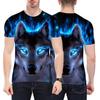 T-shirts e tops – T-Shirts
