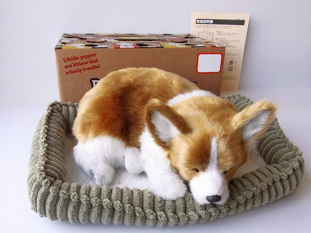 Ninja and Kino Perfect Pet Corgi Plush Perfect Dog Stuffed Kooikerhondje (Small) Toy, Realistic, Lifelike, Animal, Soothing, Moving, Gift,