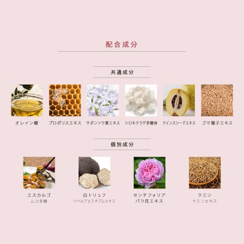 Melsavon Face Wash Floral Herb Tube Type