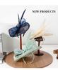 2025 Spring/Summer British Retro Gauze Headwear: Socialite Party Gift Hats