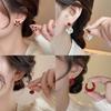 Vintage Luxe Anke La Red 925 Silver Earrings Zircon Studs Minimalist Elegant Fashion Jewelry For Women