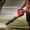 Powerful Cordless Blower CN Plug (adapter Included)