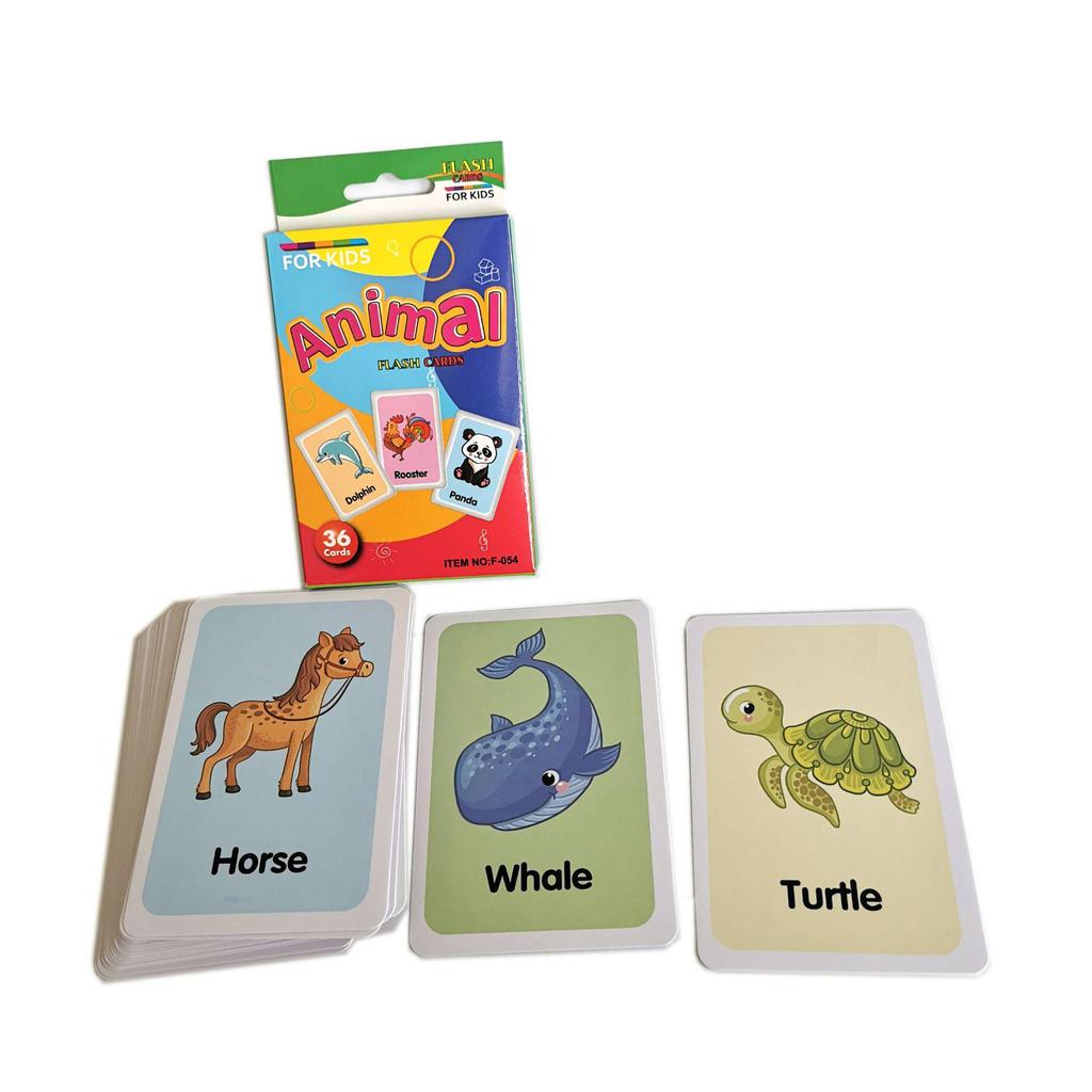 C3 Kids' Early Education Color Flash Cards - Hanging Box Set