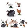 Pvc Farm Animal Decor Set With Realistic Swans Ducks And Chickens For Home Or Office Display