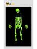 Glow-in-the-Dark Skeleton Suit for Kids - Classic Halloween Costume