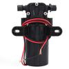36W Double Straight Tube Agricultural Electric Diaphragm Water Pump Accessory DC12V