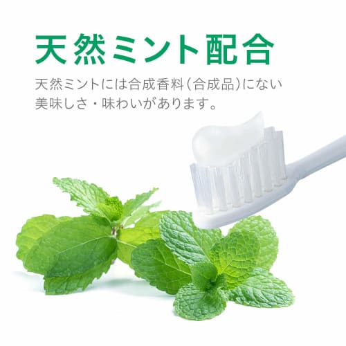 Systema EX Medicated Toothpaste, 130g, Medical Cool, Total Care Toothpaste, Thoroughly Kills Bad Breath, Gum Disease, Tooth Decay, and Periodontal Pla