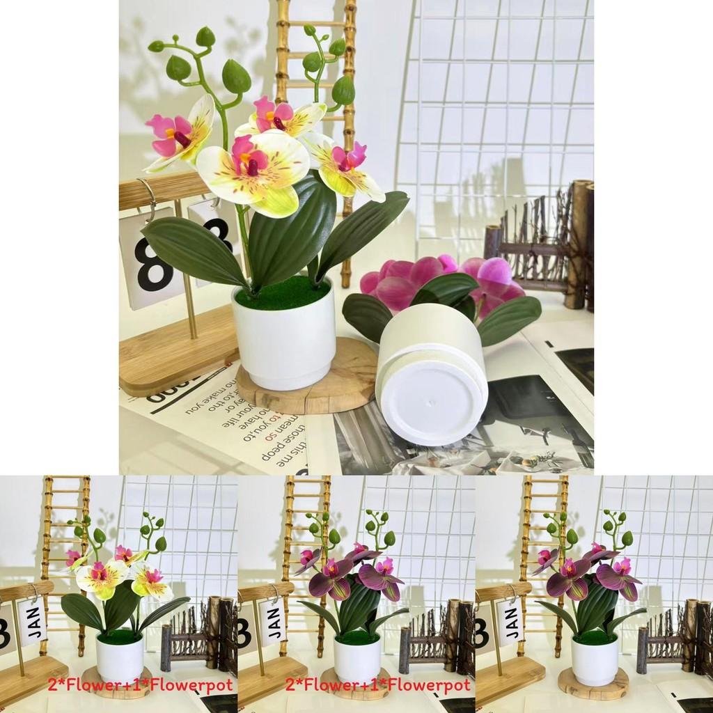 Butterfly Orchid 3d Faux Plant Decor With Plastic Material For Home And Event Use