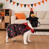 Huaqianguhh 1 Set Pet Halloween Costume, Spider Pumpkin Wizard Hat And Double-Sided Bat Print Cape, Holiday Party Outfit for Cats Dogs